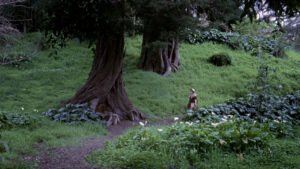 feat-1-Hinterland-07