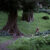 feat-1-Hinterland-07
