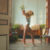Lion Babe’s Jillian Hervey Has Made Her Mom Vanessa Williams’ Silver Sequined Leotard Her Own.00_00_15_12.Still004 feat